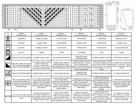 pull 491 schema