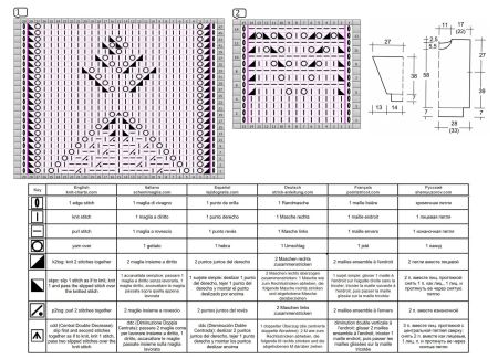 pull 546 schema