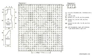 Pull  schema