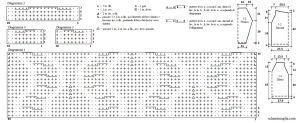 pull schema