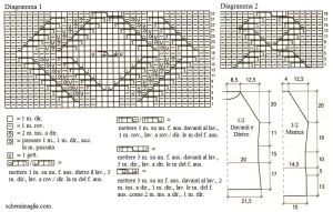 pull schema