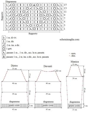 pull schema