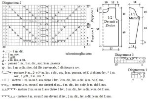 pull schema