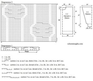 pull schema