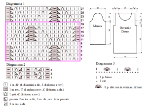 pull schema