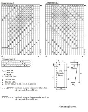 pull schema