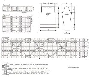 pull schema