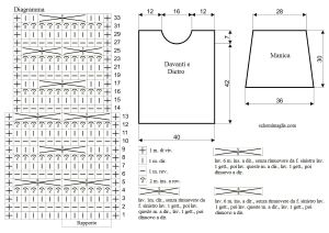 pull schema