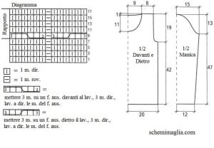 pull schema