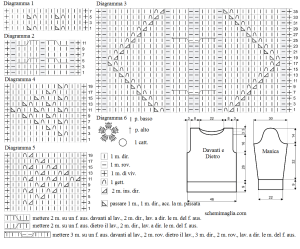 pull schema