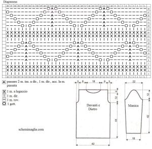 pull schema