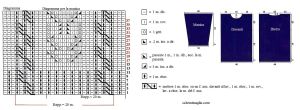 pull schema