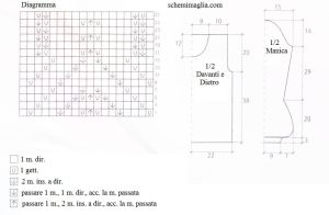 pull schema