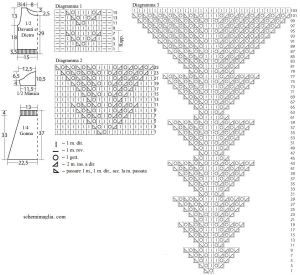 top schema