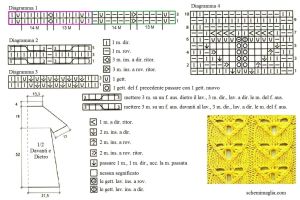 tunica schema