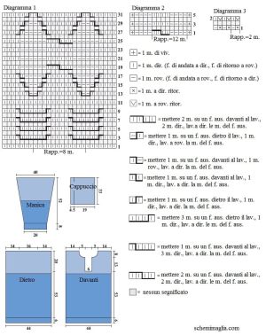 tunica  schema