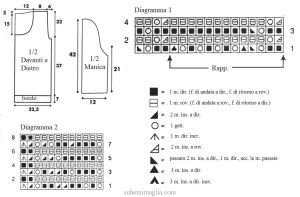 tunica schema