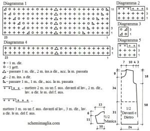 tunica schema