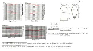 tunica schema
