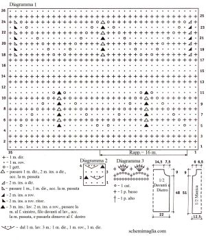 tunica schema