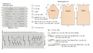 tunica schema