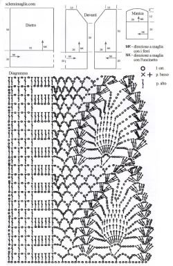 tunica schema