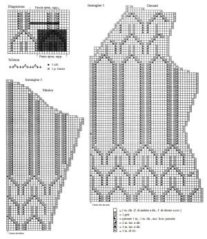 tunica  schema 