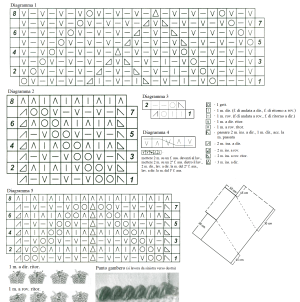 tunica schema